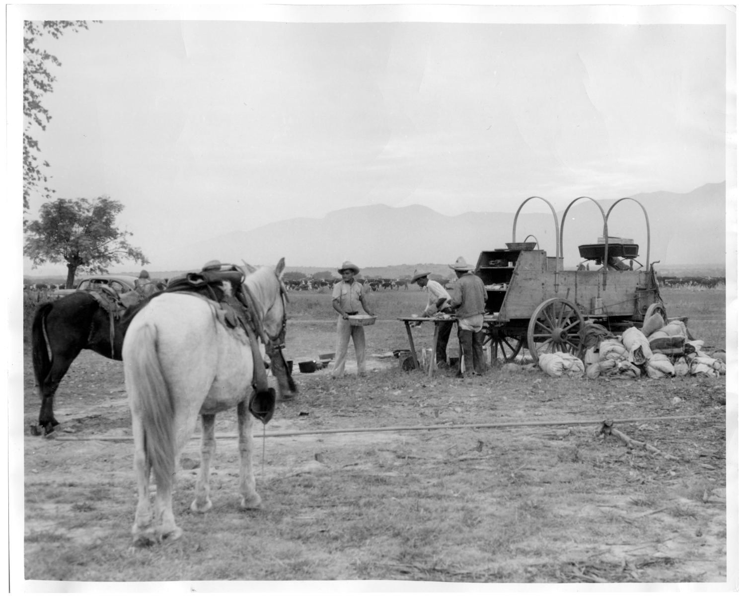 About the ACWA – American Chuck Wagon Association